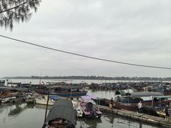-万尾金滩