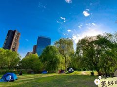 -长白岛森林公园