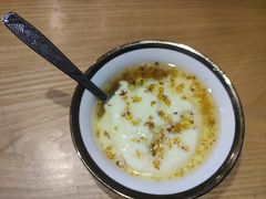 -古树酸奶(八廓南街店)
