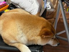 -About Bistro關於·泰式家庭料理