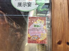-上海大自然野生昆虫馆(东方明珠·爬宠昆虫探索中心)