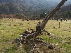 -硗碛藏寨·神木垒景区