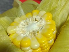 -光明刘冰乳鸽店(光明法政北路店)