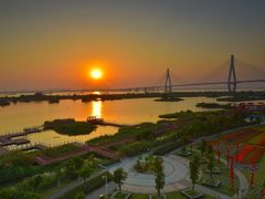-芒洲湿地公园