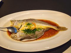 -上海小南国(国会店)