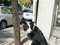 -72 COFFEE(东朝阳路店)