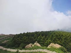 -白草畔自然风景区