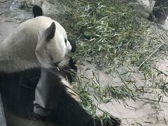 -天目湖涵田度假村