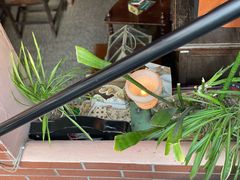 -古董花园(思南路42弄小区店)