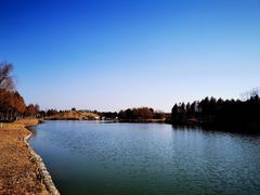 -合肥滨湖国家森林公园