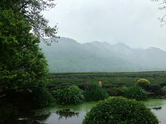 -中国茶叶博物馆(双峰馆区)