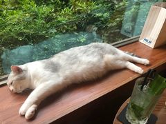 -咖法森林·咖啡  酒吧(天河店)