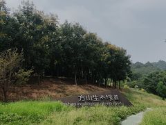 -南京市江宁方山