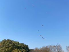 -明故宫遗址公园