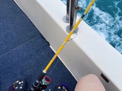 -小猫钓鱼海钓俱乐部(椰梦长廊店)