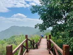 -大岭沟猕猴桃谷风景区