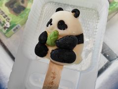 -中国大熊猫保护研究中心雅安碧峰峡基地