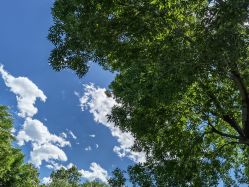 -上海徐(东方新天地店)