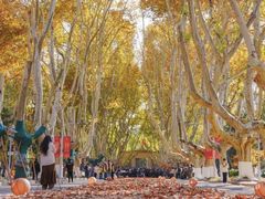 -东南大学(四牌楼校区)