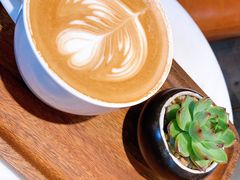 -Peet's Coffee皮爷咖啡(大学路店)