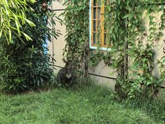 -正佳雨林生态植物园