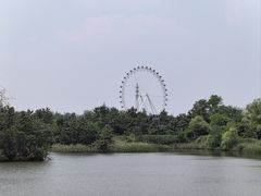 -日照海滨国家森林公园