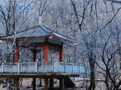 -关门山森林公园
