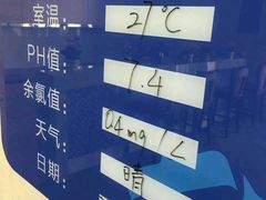 -跃动游泳健身俱乐部(新华传媒店)