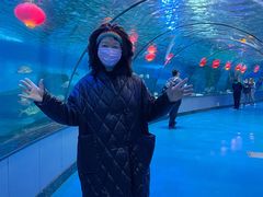 -泉城欧乐堡海洋极地世界