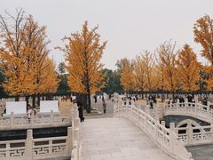 -晋祠公园