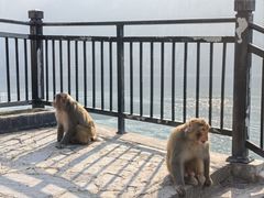 -白帝城·瞿塘峡景区