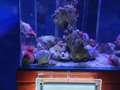 -太平洋海底世界