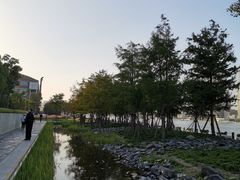 -黄浦江游览(十六铺3号码头)
