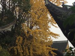 -上海市龙华烈士陵园