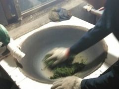 android_upload_pic-依福园农家乐