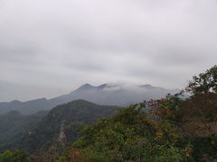 -六里坪国家森林公园