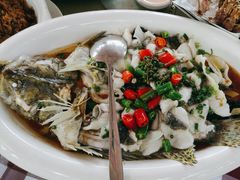 -陶缘一号·四季缘·老字号顺德菜·户外婚礼家宴(西滘店)