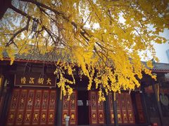 -古大圣慈寺