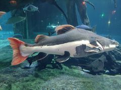 -华夏文旅海洋公园