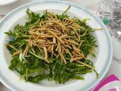 -二张农家菜(天通苑店)