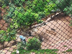 -青藏高原野生动物园