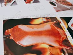 -金蝉食府(维吉奥广场店)