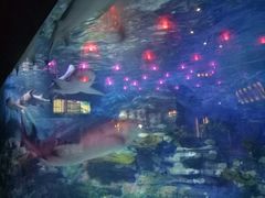 -烟台海昌鲸鲨海洋公园