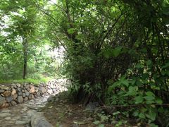 IMG_0207-阳台山自然风景区