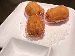 -南枝记
