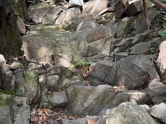 -丹东市五龙山风景区