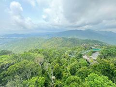 -亚龙湾国际玫瑰谷