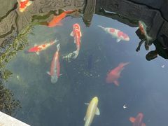 -西安市广仁寺