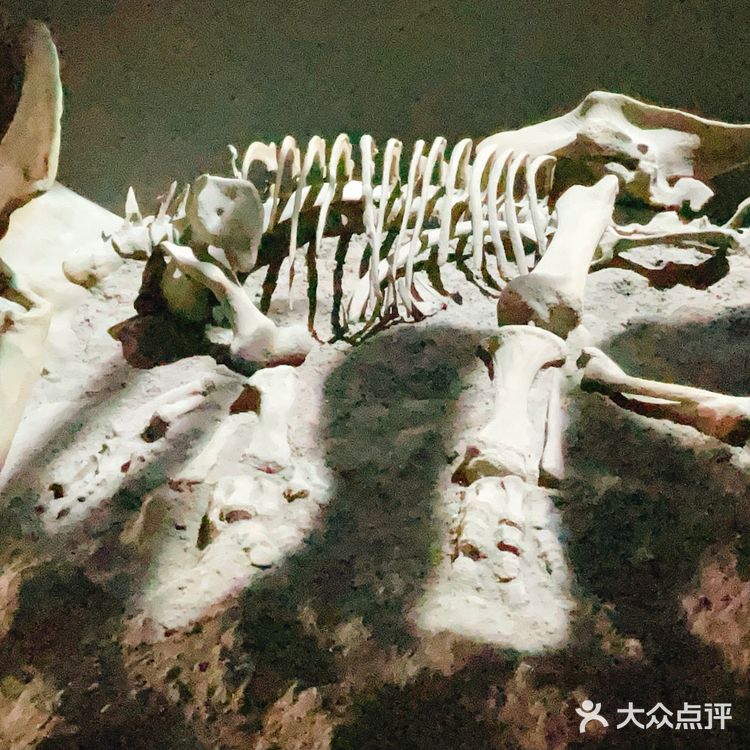 上海天文馆游玩攻略