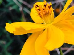 -上海浦江郊野公园-4号停车场